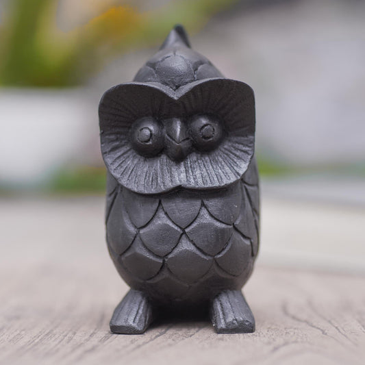 Artisan Crafted Suar Wood Owl Eyeglass Holder - To See You in Black